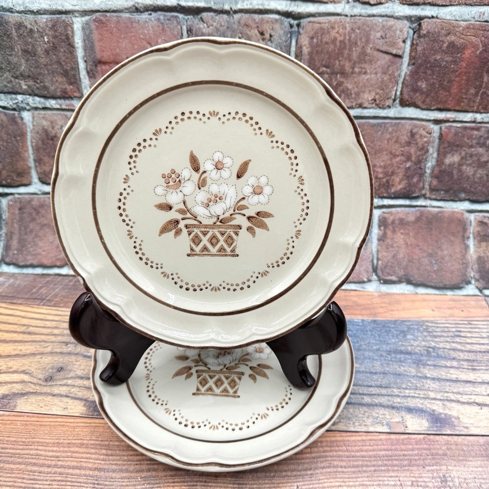 Hearthside Cumberland Mayblossom Stoneware Plates Set of 2 Japan Cottagecore